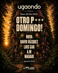 Flyer de Otro P*** Domingo!