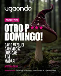 Flyer de Otro P*** Domingo!