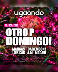 Flyer de Otro P*** Domingo!