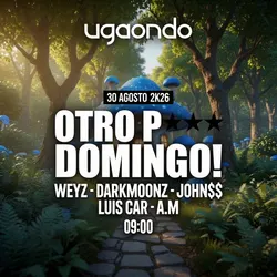 Flyer de Otro P*** Domingo!